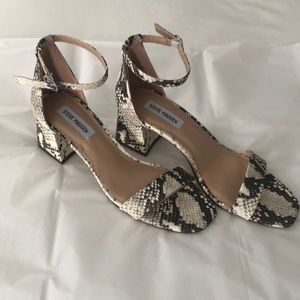 Brand new Steve Madden shoes